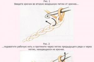 Бактус крючком: схема для вязания необычной обновки гардероба