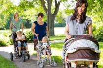 Зимняя карета для новорожденного: выбираем лучшую резину и идеальные габариты Топ детских колясок зимние